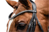 Schockemohle Monticelli Double Bridle