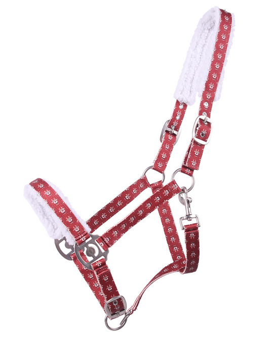Red and white patterned horse halter with matching lead rope on a white background