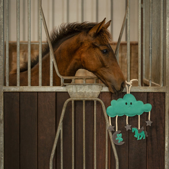 Horse/Dog Toy Toys QHP - Equestrian Fashion Outfitters