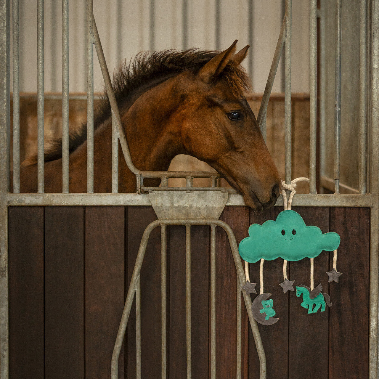 Horse/Dog Toy Toys QHP - Equestrian Fashion Outfitters