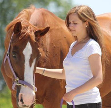 Horse Owner