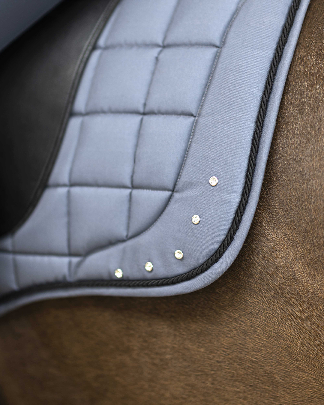 HKM Rosewood Dressage Pad  HKM - Equestrian Fashion Outfitters