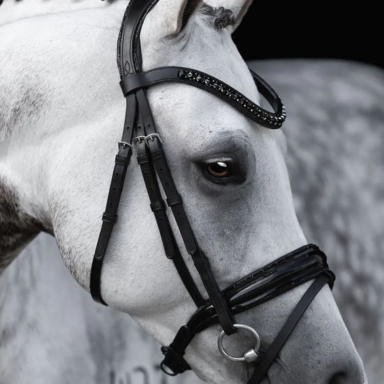 Lumiere Arcadia Luxury Snaffle Bridle Bridle Lumiere - Equestrian Fashion Outfitters