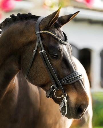 Lumiere Ariana Double Bridle