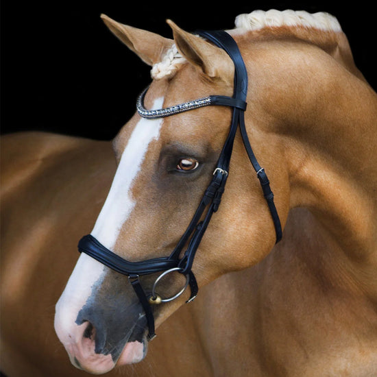A brown horse wearing a black anatomic bridle with a silver and grey crystal browband.