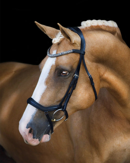 A brown horse wearing a black anatomic bridle with a silver and grey crystal browband.