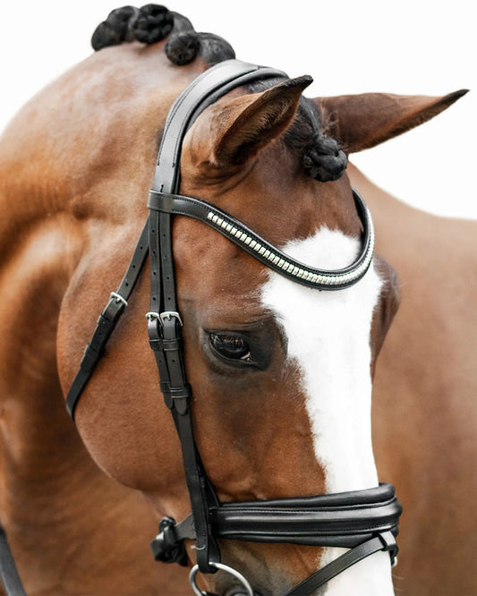 Lumiere Melodie Classic Bridle