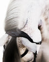 Lumiere Melodie Classic Bridle