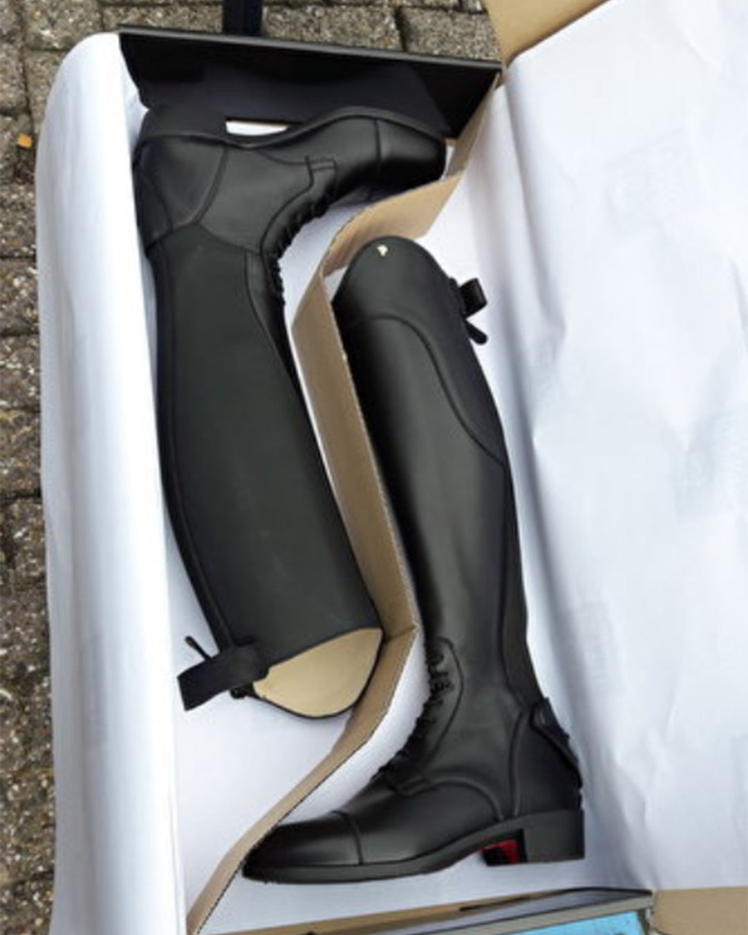 Petrie Firenze Field Boots Petrie Boots Petrie - Equestrian Fashion Outfitters