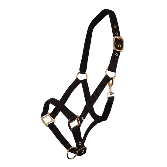 Premiere Luxury Nubuck Lined Halter  BR - Equestrian Fashion Outfitters