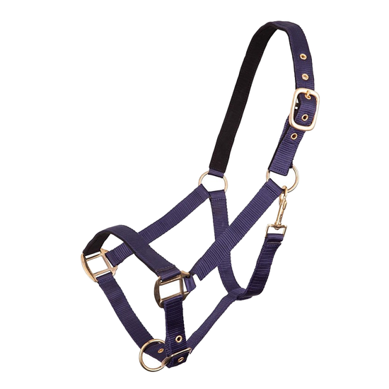 Premiere Luxury Nubuck Lined Halter  BR - Equestrian Fashion Outfitters