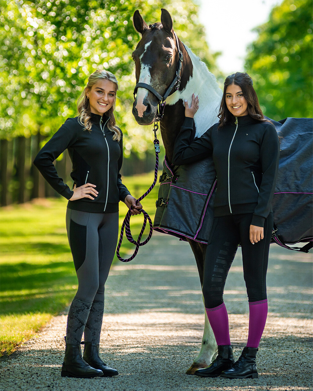 QHP 7 Day Socks QHP - Equestrian Fashion Outfitters