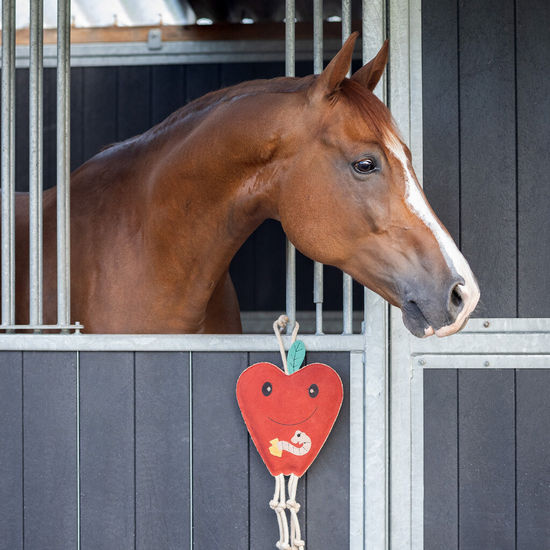 Horse/Dog Toy Toys QHP - Equestrian Fashion Outfitters