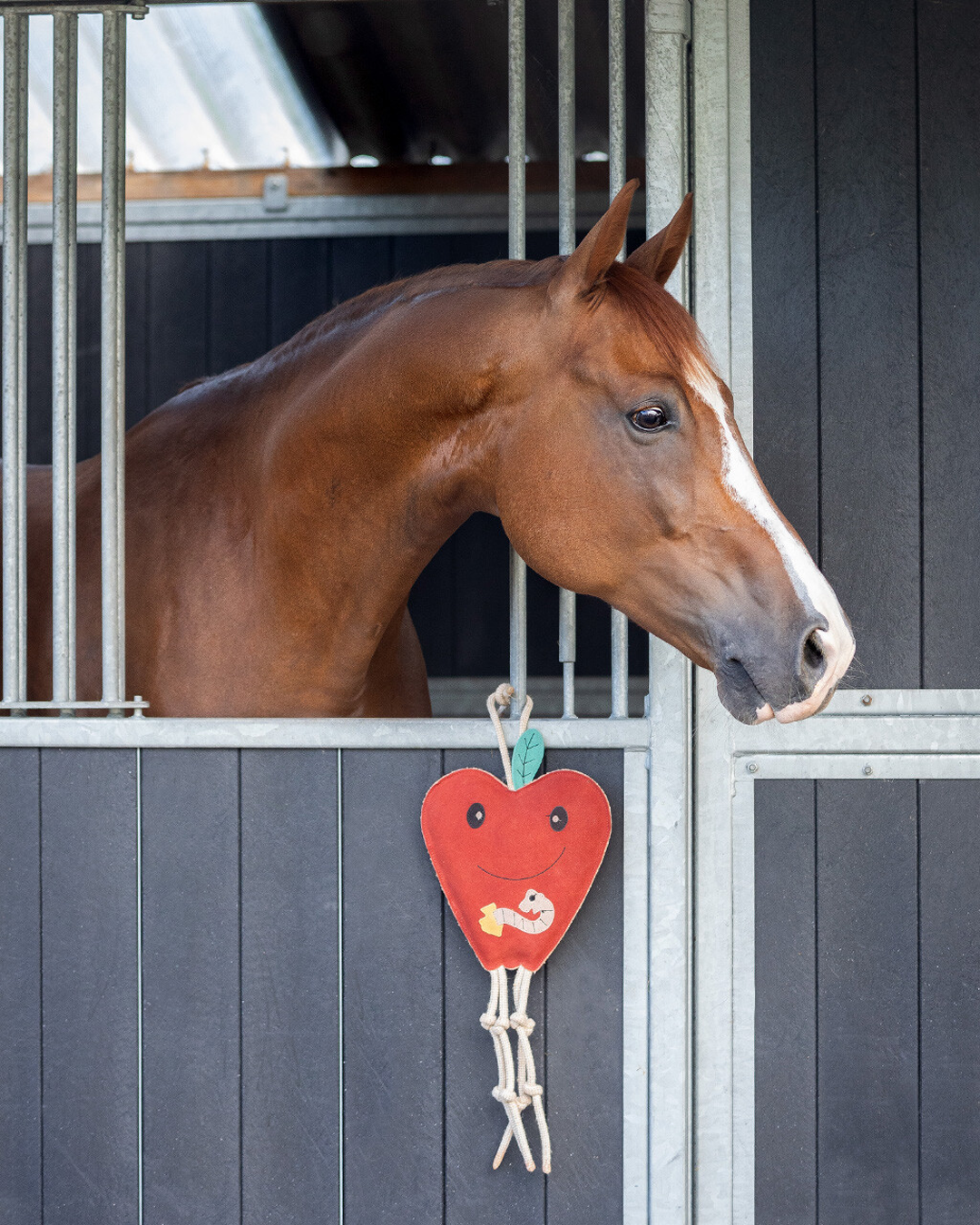 Horse/Dog Toy Toys QHP - Equestrian Fashion Outfitters