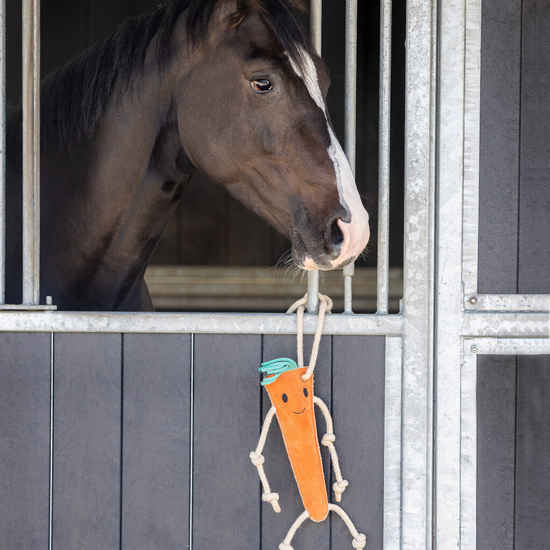 Horse/Dog Toy Toys QHP - Equestrian Fashion Outfitters