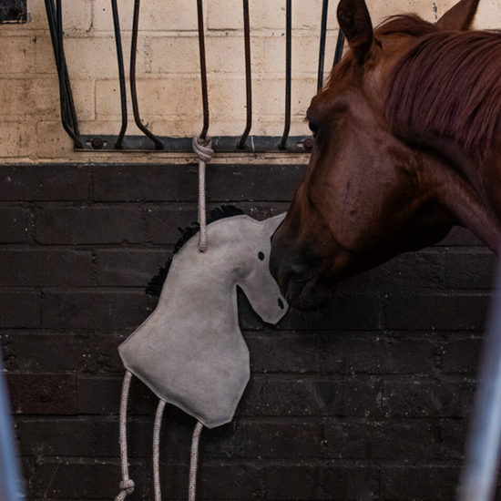 Horse/Dog Toy Toys QHP - Equestrian Fashion Outfitters