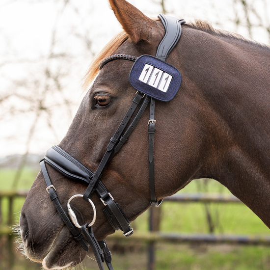 QHP Shine Number Holder Number Holder QHP - Equestrian Fashion Outfitters