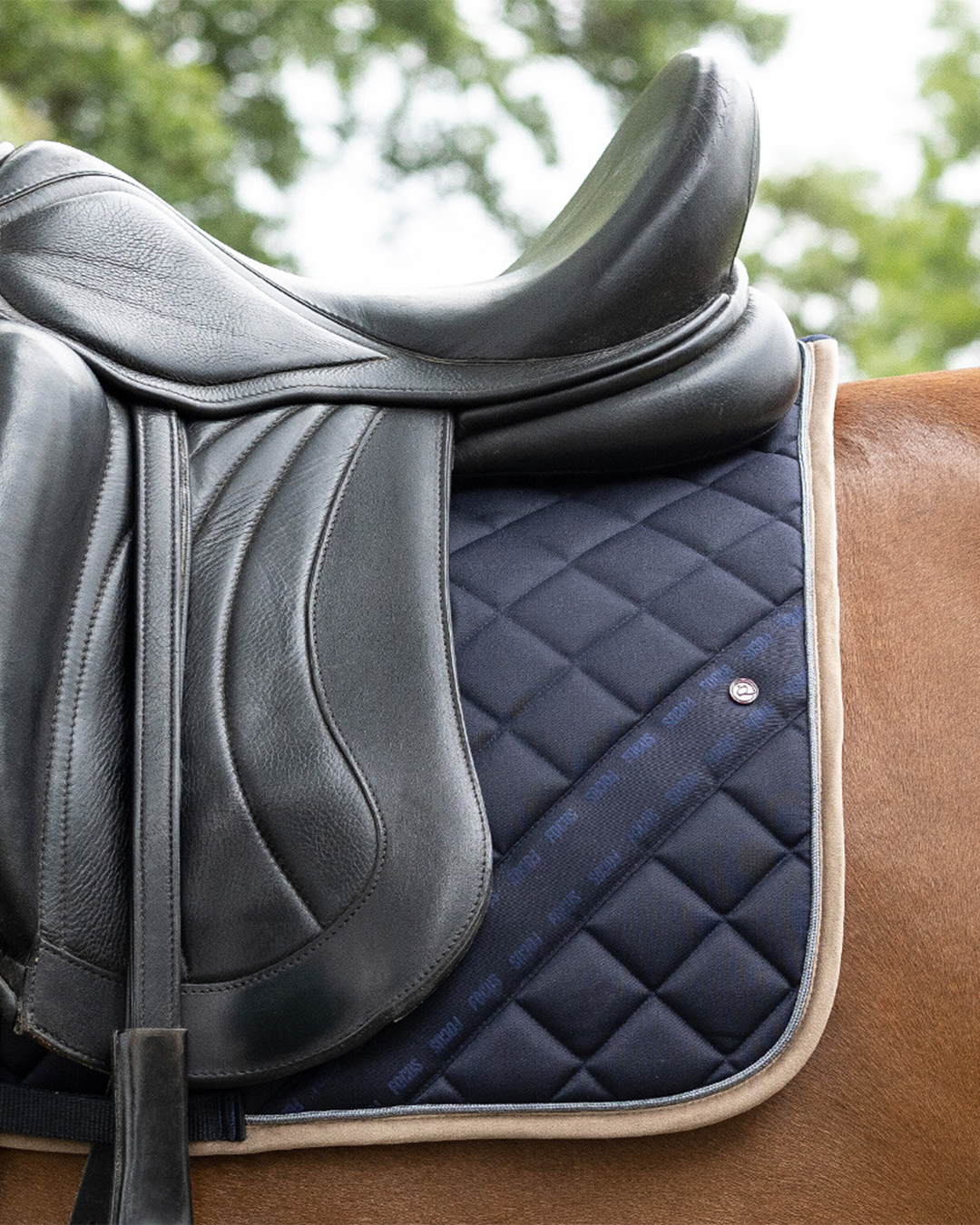 QHP Summer Focus Saddle Pad QHP - Equestrian Fashion Outfitters