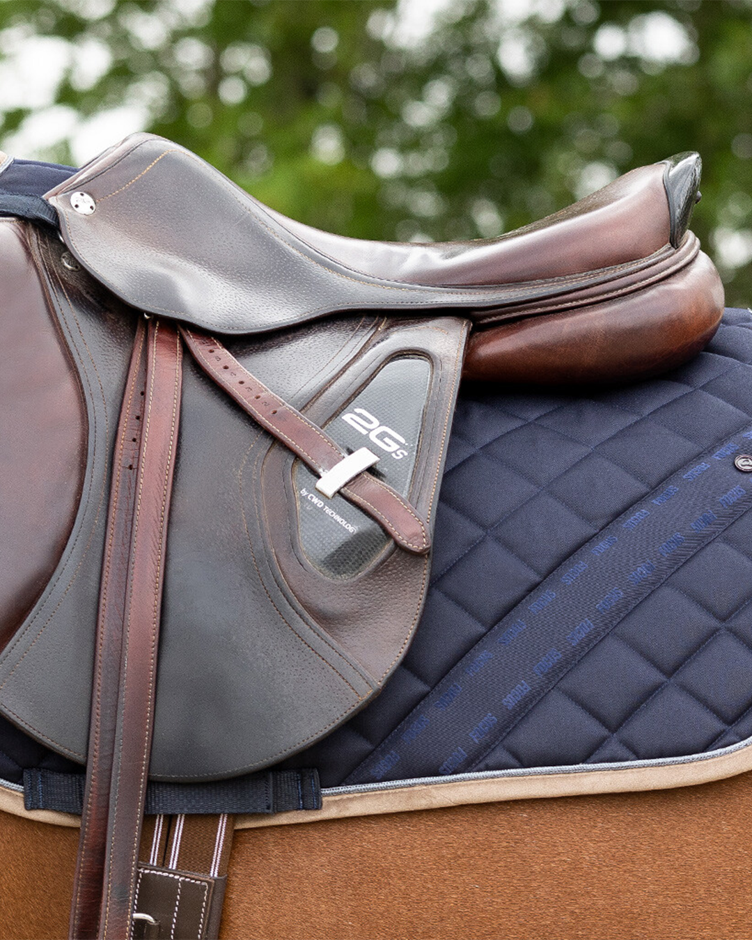 QHP Summer Focus Saddle Pad QHP - Equestrian Fashion Outfitters