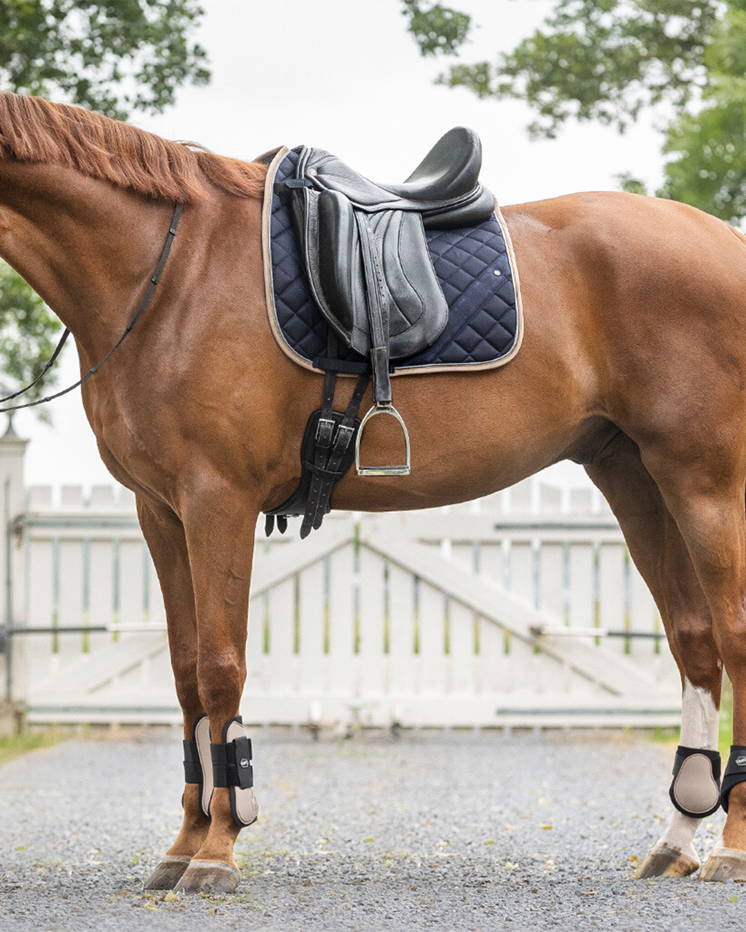 QHP Summer Focus Saddle Pad QHP - Equestrian Fashion Outfitters