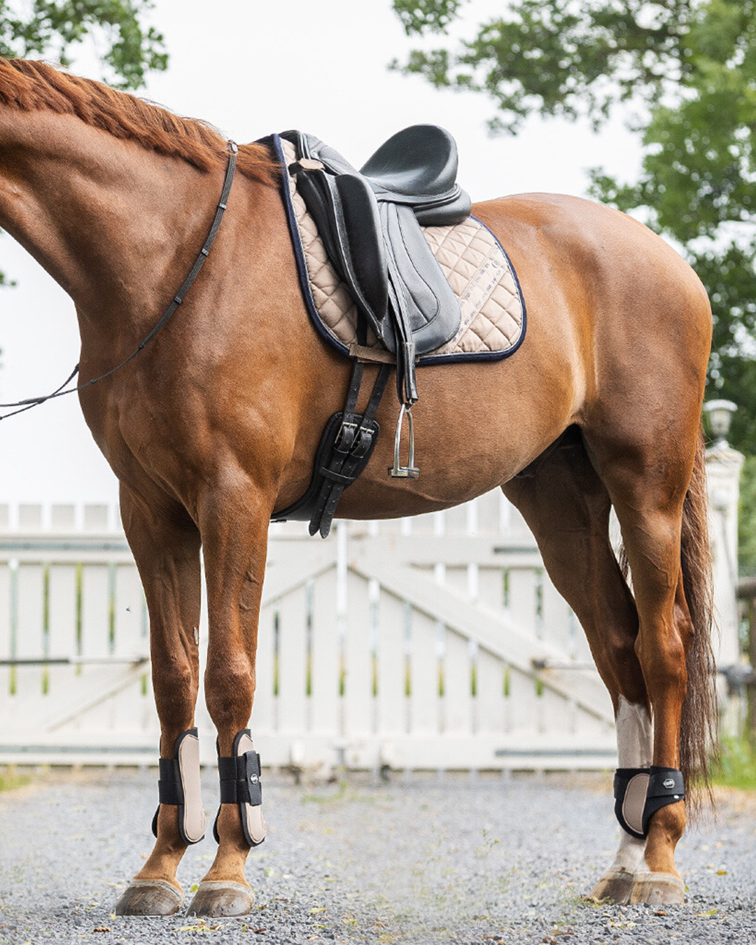 QHP Summer Focus Saddle Pad QHP - Equestrian Fashion Outfitters