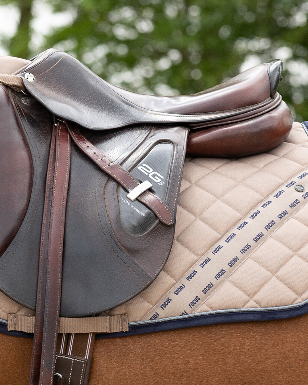 QHP Summer Focus Saddle Pad QHP - Equestrian Fashion Outfitters