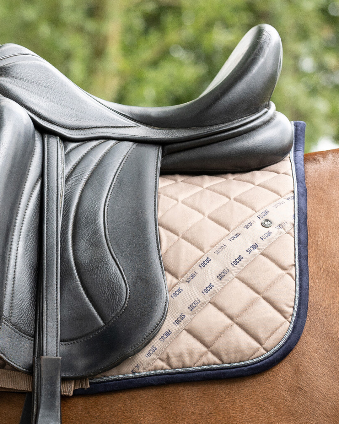 QHP Summer Focus Saddle Pad QHP - Equestrian Fashion Outfitters