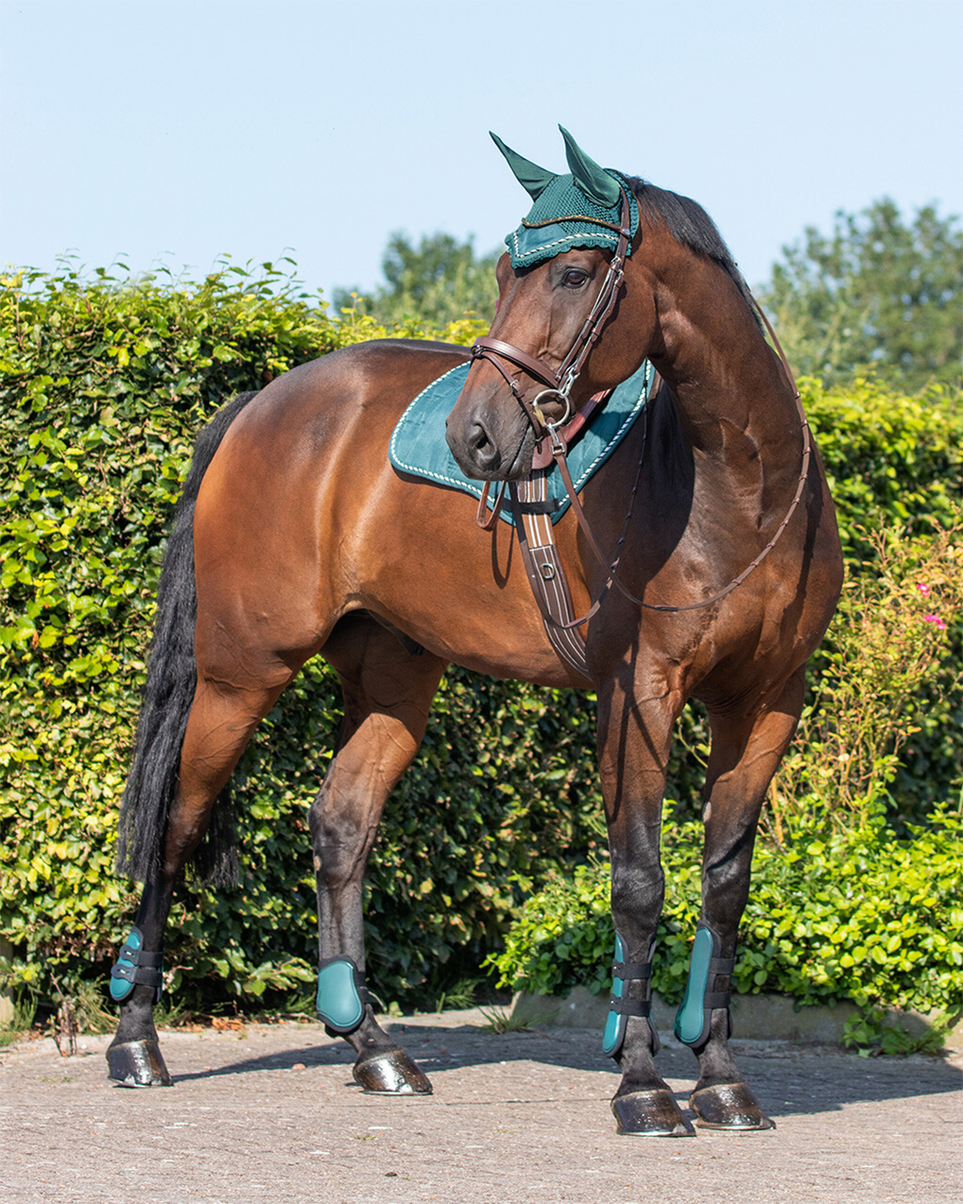 QHP Tendon Boots Set QHP - Equestrian Fashion Outfitters