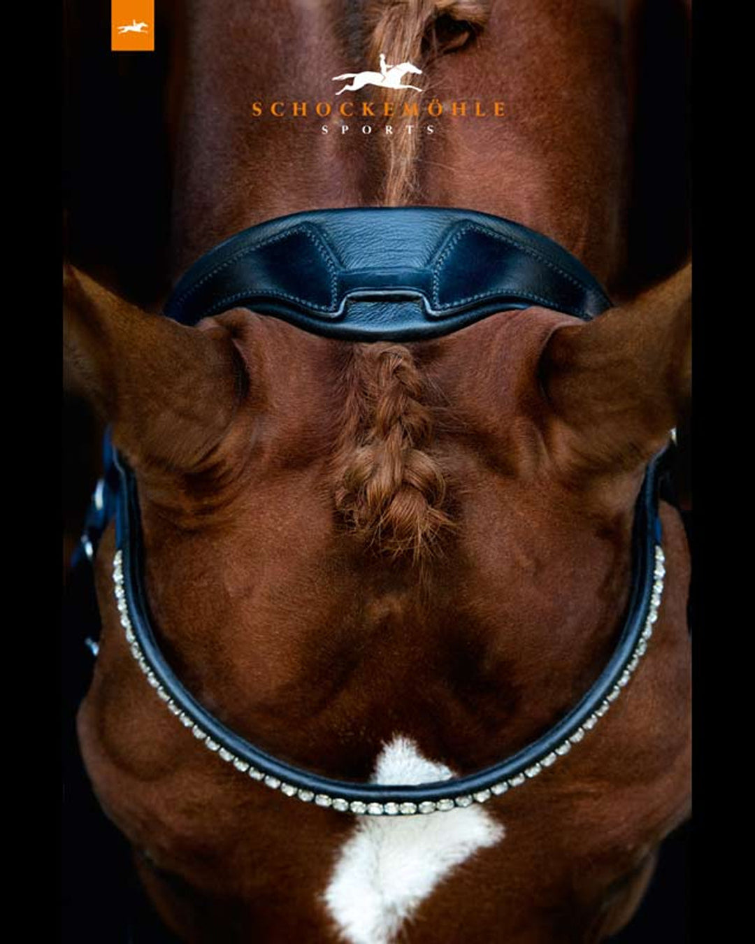 Schockemohle Stanford Anatomic Bridle Bridle Schockemohle - Equestrian Fashion Outfitters