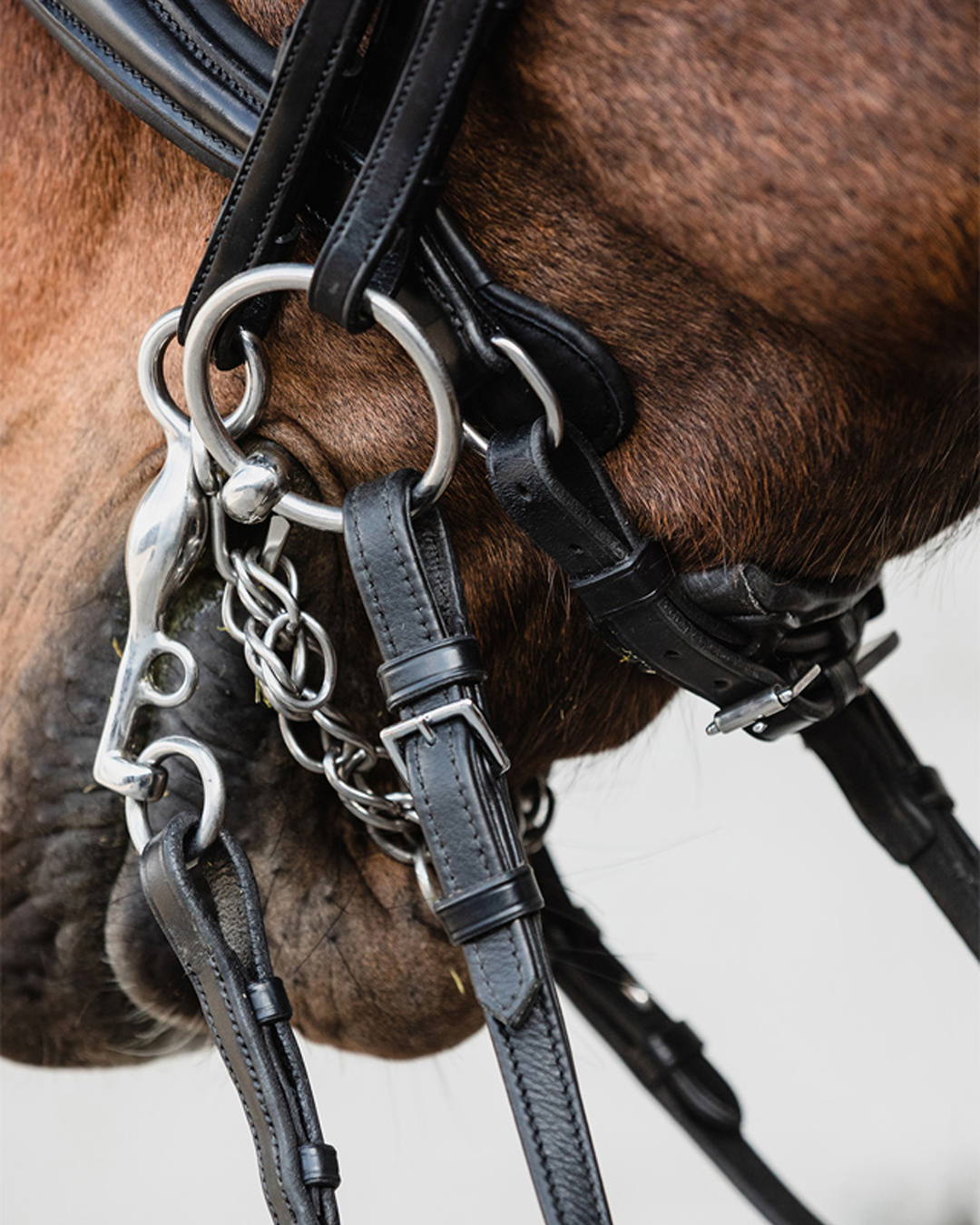 Schockemohle Milton Double Bridle Schockemohle - Equestrian Fashion Outfitters