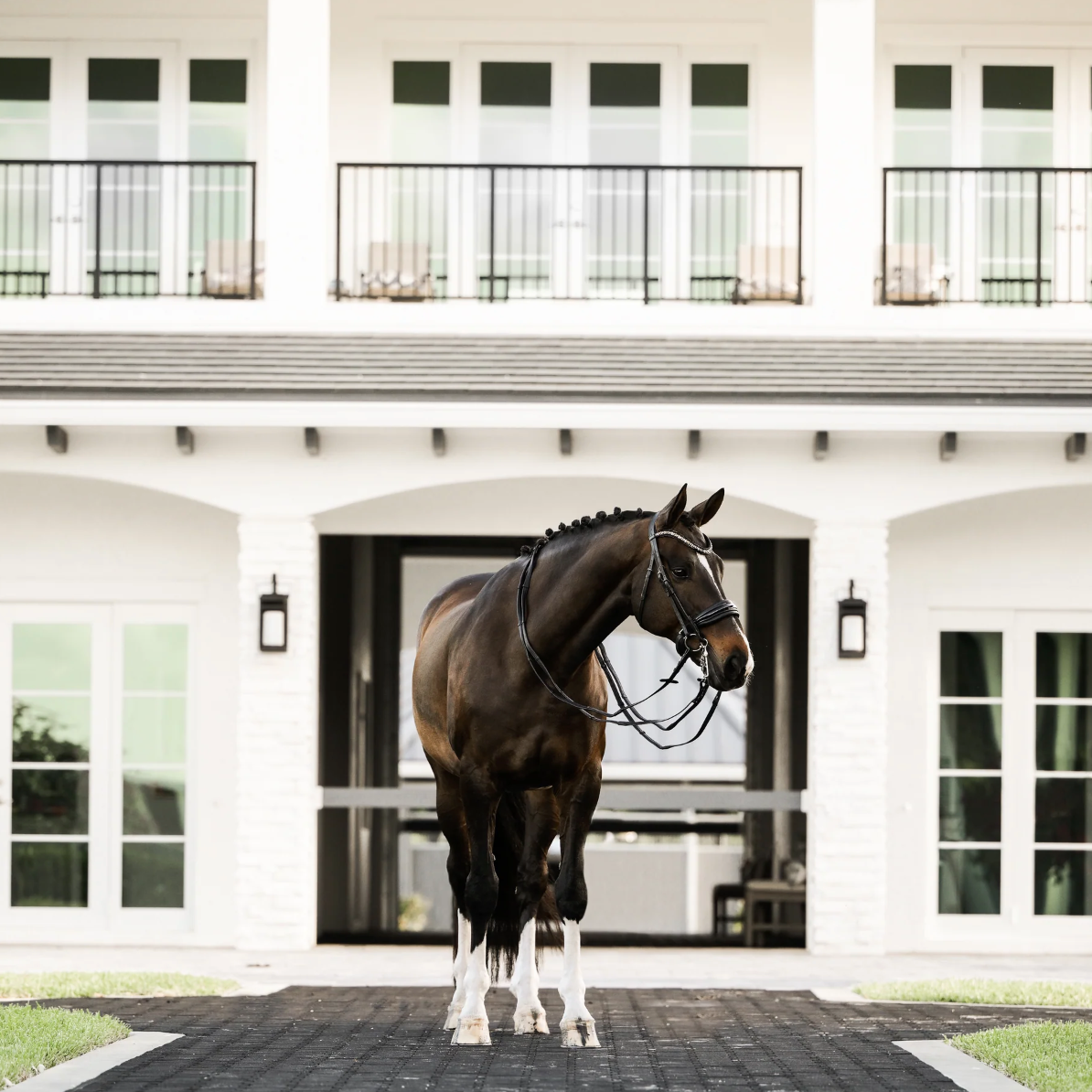 Lumiere Ariana Double Bridle Bridle Lumiere - Equestrian Fashion Outfitters
