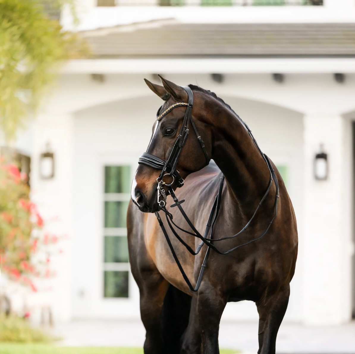 Lumiere Ariana Double Bridle Bridle Lumiere - Equestrian Fashion Outfitters