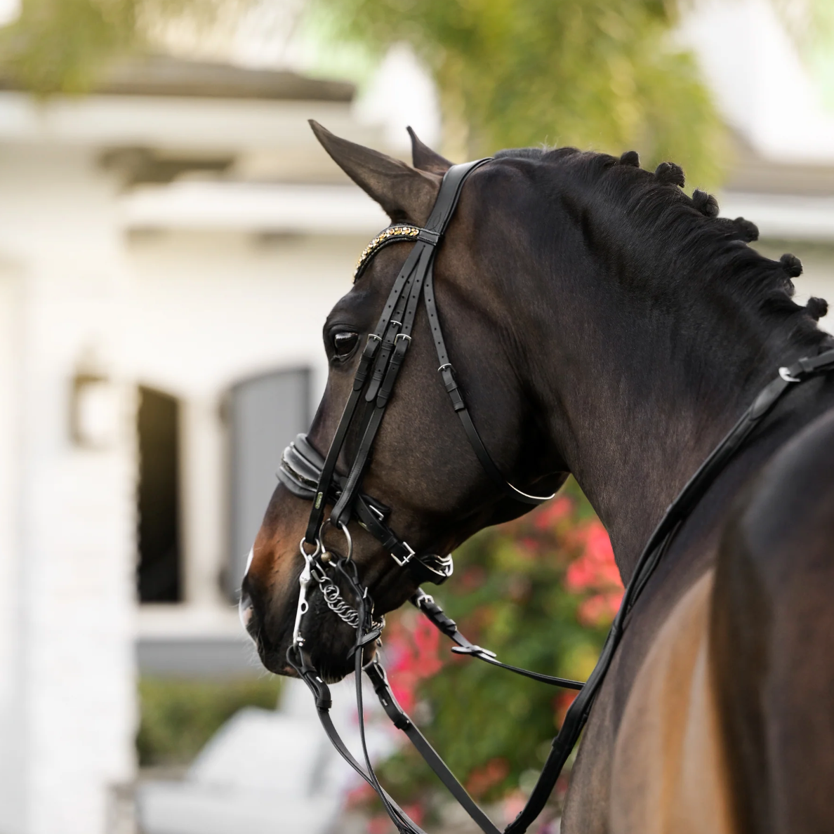 Lumiere Ariana Double Bridle Bridle Lumiere - Equestrian Fashion Outfitters