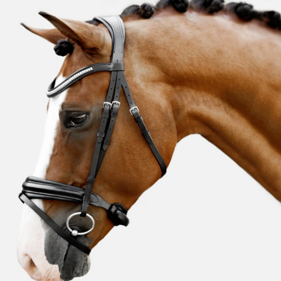 Lumiere Melodie Classic Bridle Bridle Lumiere - Equestrian Fashion Outfitters