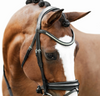 Lumiere Melodie Classic Bridle Bridle Lumiere - Equestrian Fashion Outfitters