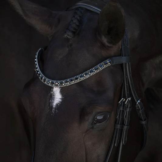 Lumiere Browband  Equestrian Fashion Outfitters - Equestrian Fashion Outfitters