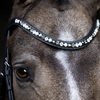 Lumiere Browband  Equestrian Fashion Outfitters - Equestrian Fashion Outfitters