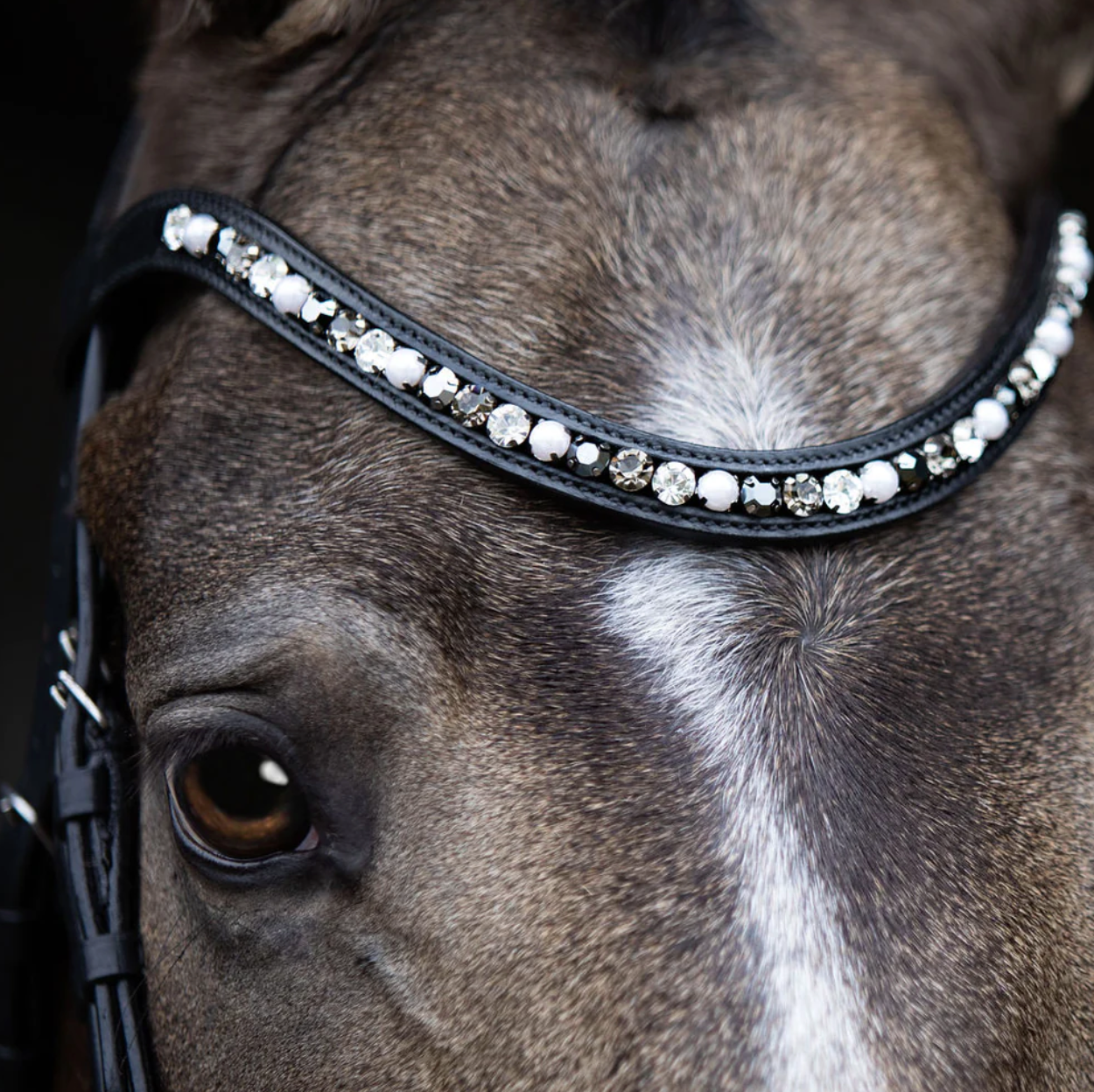 Lumiere Browband Equestrian Fashion Outfitters - Equestrian Fashion Outfitters