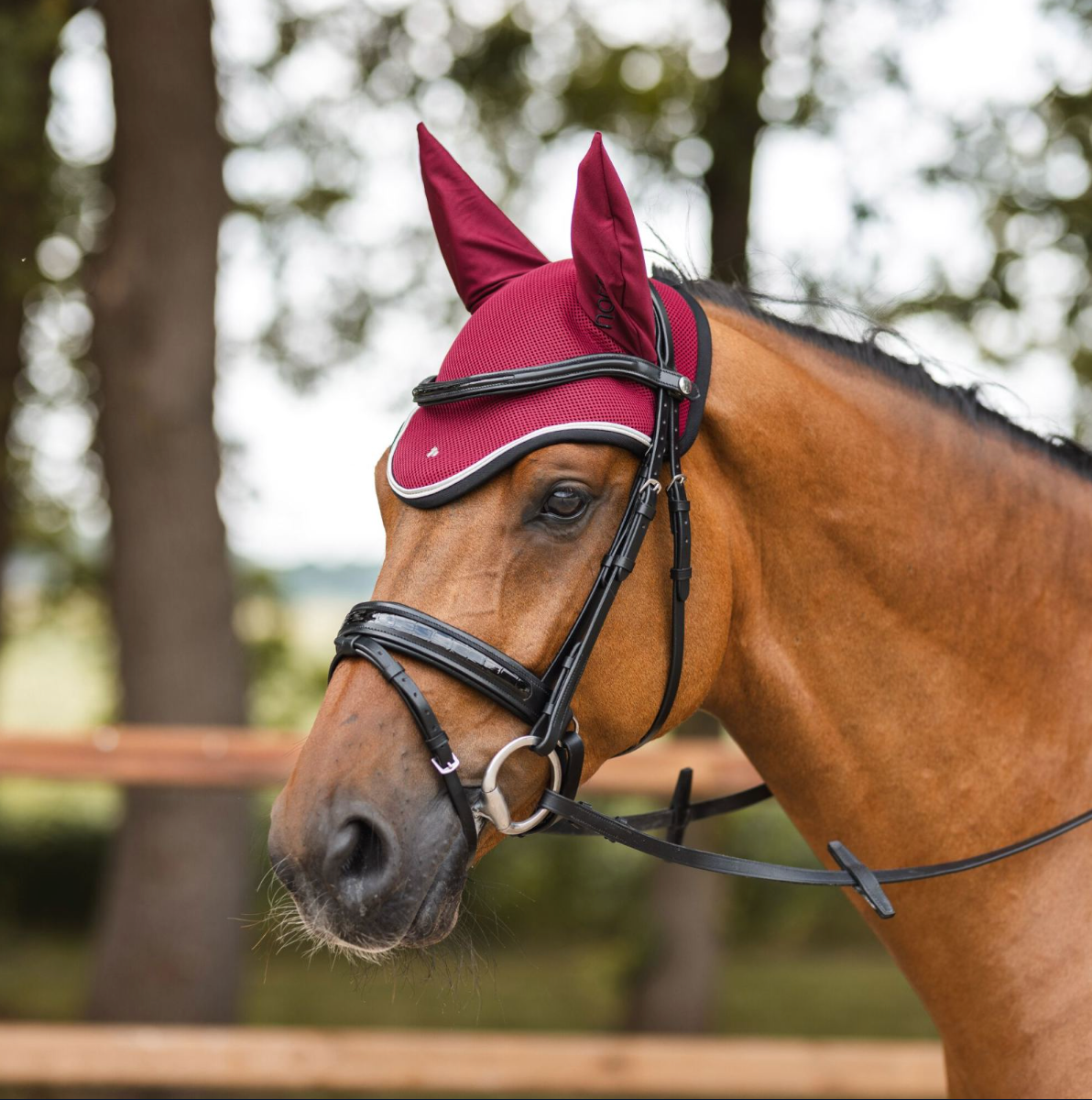 Horze Smoky Anatomic Snaffle Bridle Bridles Horze Equestrian - Equestrian Fashion Outfitters