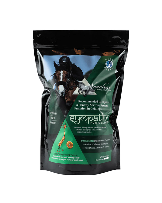 Sympath-R for Geldings Herbal Supplement Neachai - Equestrian Fashion Outfitters