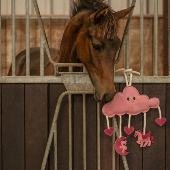 Horse/Dog Toy Toys QHP - Equestrian Fashion Outfitters