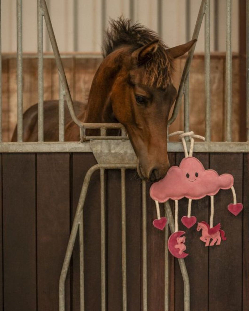 Horse/Dog Toy Toys QHP - Equestrian Fashion Outfitters
