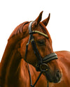 Lumiere Delta Snaffle Bridle