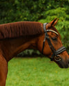 Lumiere Delta Snaffle Bridle