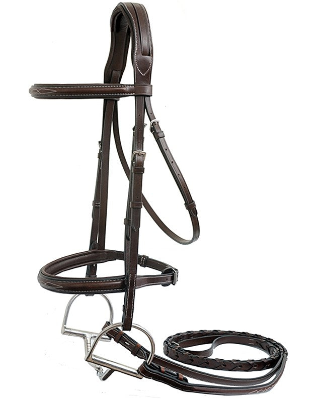 Brown horse bridle on a white background