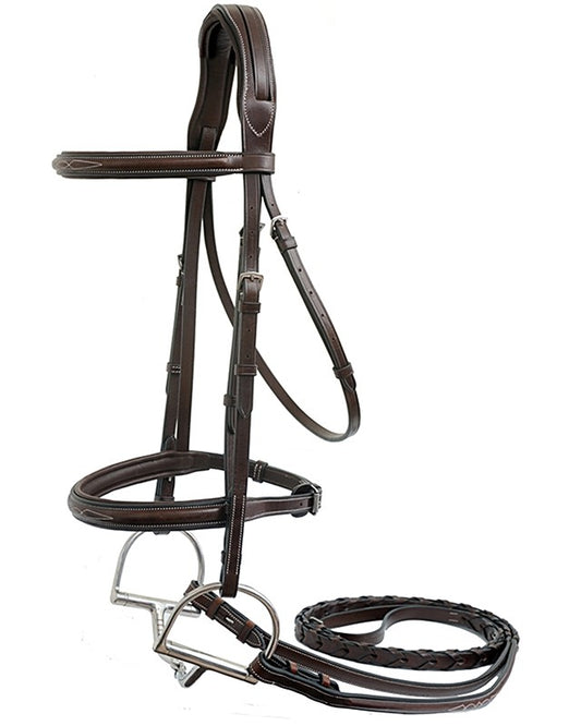Brown horse bridle on a white background