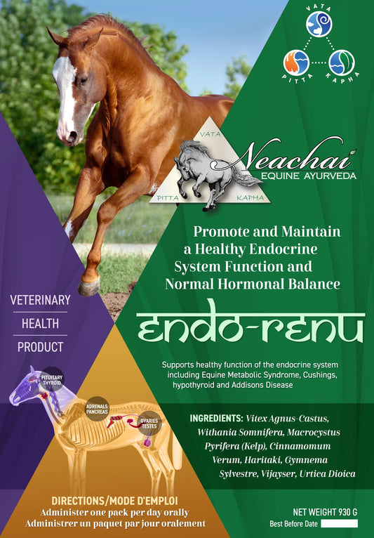 Endo-Renu Herbal Supplement Neachai - Equestrian Fashion Outfitters