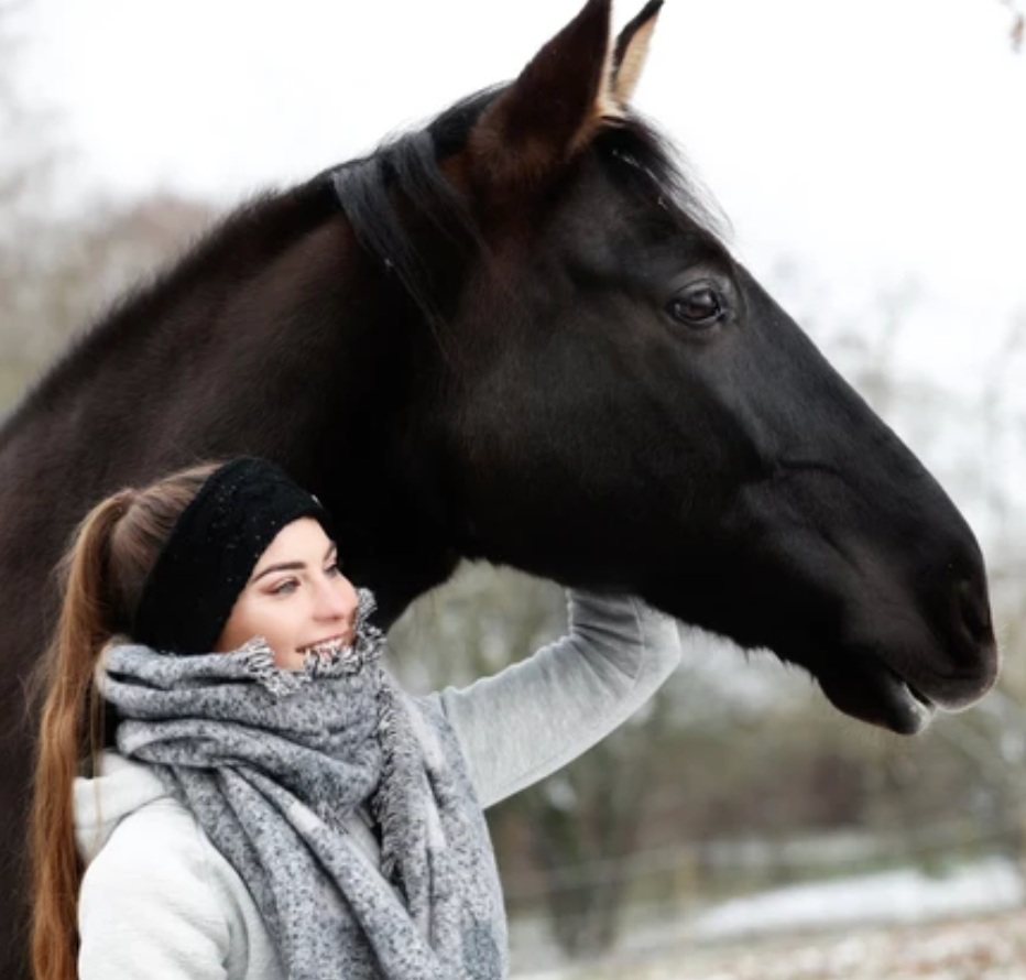 Springstar Saskia Headband Headband Springstar - Equestrian Fashion Outfitters