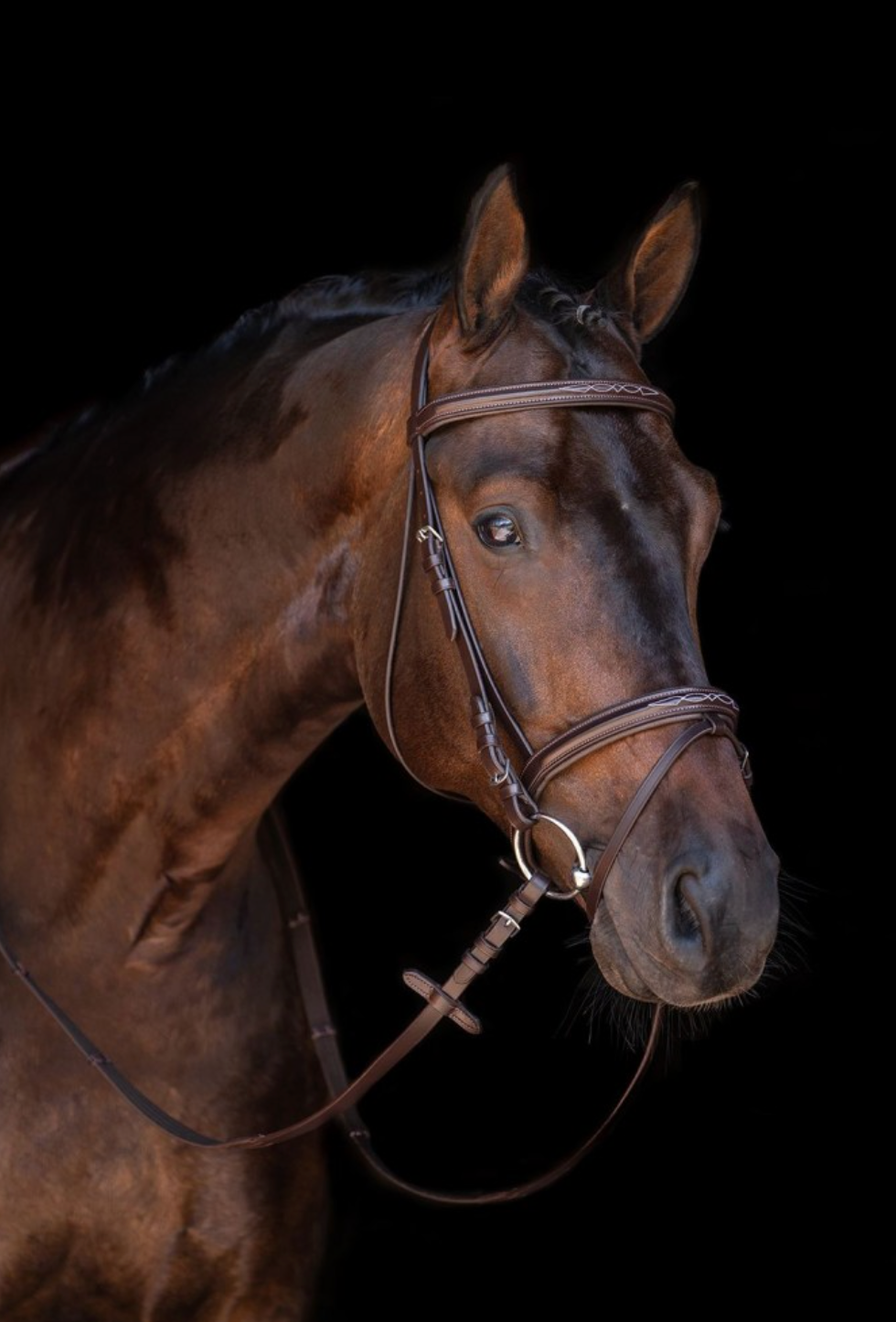 HKM Jana Bridle Bridles HKM - Equestrian Fashion Outfitters