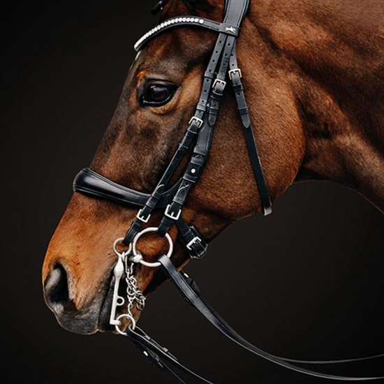 Schockemohle Equitus Gamma Double Bridle Bridles Schockemohle - Equestrian Fashion Outfitters